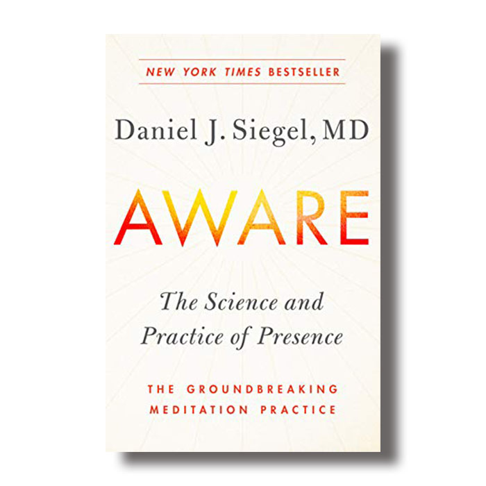 daniel siegel aware